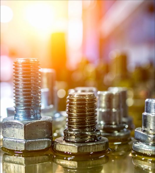 Reygal, ¿quíenes somos?